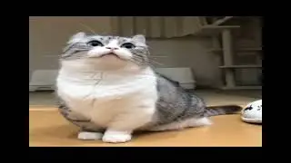 змея