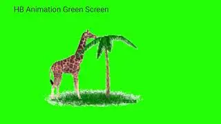 Giraffe Animation (Green Screen) |giraffe 