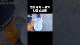 요새 개 사료가 맛있다는 지리산 구조대원의 주장 #shorts
