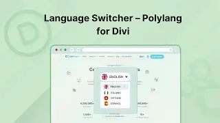 Language Switcher for polylang & Divi