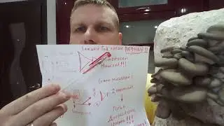 РЕГЕНЕРАЦИЯ! ДЕГРАДАЦИЯ ШТАММА! как избежать!!!