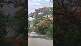 Into the unknown :Road adventures