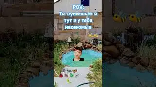 14 июня 2024 г.