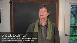 Permaculture Restores Our Relationship with Nature -  Brock Dolman | APSO
