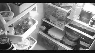 T-Nyce aka The Kid Waking Up Mad Hungry