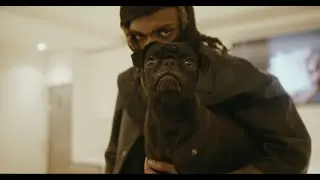 Donz Stacks SnakeShit (Official Video)