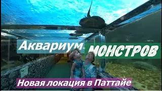 ПАТТАЙЯ. ТАИЛАНД. АКВАРИУМ МОНСТРОВ. Новое место в ПАттайе. КУДА СВОДИТЬ РЕБЕНКА В ПАТТАЙЕ.