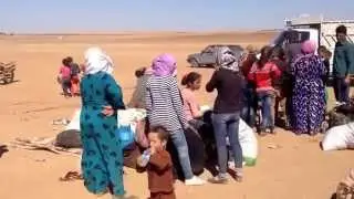 Kobanê border - kurdish refugees (26/09/2014)
