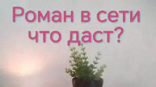 ❤️РОМАН В ИНТЕРНЕТЕ🛜📲🤳ПЕРСПЕКТИВЫ