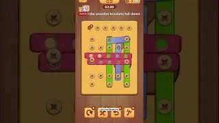 Wooden Nuts & Bolts Puzzle Game Level - 100 Part - 1 Walkthrough | Puzzle Games  #games #gaming