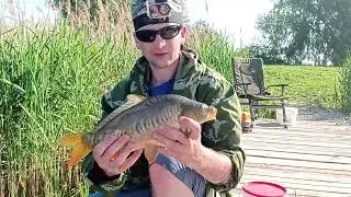 Флэт-фидер. Ловля карпа.