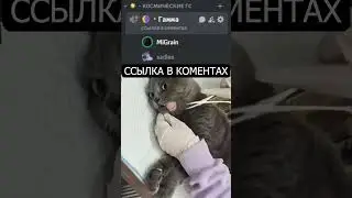ШУТКИ ДИСКОРД №4 МЕМ #discord #юмор #дискорд #рекомендации #рек