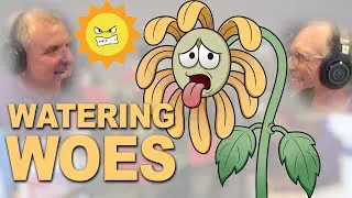 Do You Have Crispy Plants? | Watering Woes | The Hot Weather Advice You Need For Your Landscape!