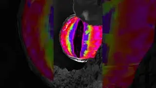 New Moon-Eye Halloween Monster in Gorilla Tag? #viralvideo #shorts #gorillatag