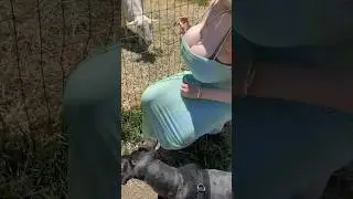 wait for end 😱 ohh my god sexy girl big boobs |last scene  