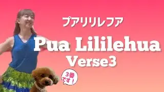 Pua Lililehua verse 3 / Choreography by Mana プアリリレフアを練習しましょう