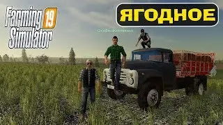 🚜ЯГОДНОЕ - ВЫЖИТЬ НА 30м ПОЛЕ! Farming Simulator 19