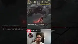 Golden Hippo… 😡😡😡 Slowly but surely losing our minds in the Elden Ring DLC #chitowngamers