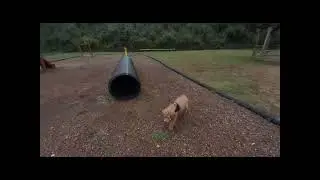 iphone 13 Pro max Prores Video With Filmic Pro App