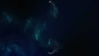 Анимация частиц в After Effects Particular