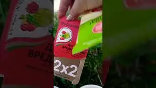 🍅🥒Обработка и подкормка  томатов и огурцов🥒🥒