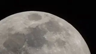 Synta 8 Księżyc