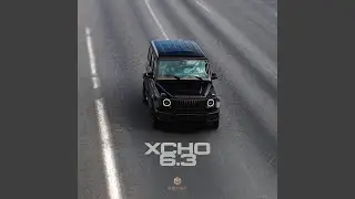 6.3