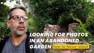 Focus-stacking in a neglected 100 year old garden