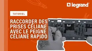 Raccorder des prises Céliane entre elles avec le peigne Céliane Rapido