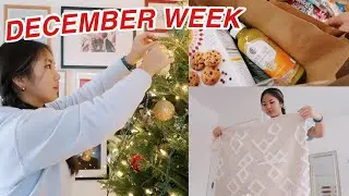 PRODUCTIVE WINTER WEEK IN MY LIFE | working out, christmas tree, and more!