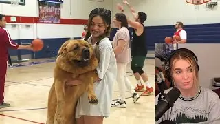 QTCinderella exposes Valkyrae's real height