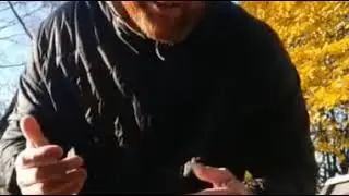 Смешные видео приколы , антошка нам задолжал немножко