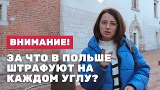 Касается каждого украинца в Польше. Штраф 500 злотых можно получить на ровном месте