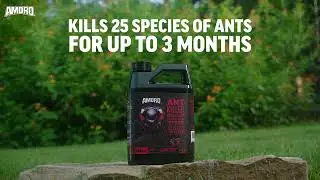 AV05   Amdro Ant Killer 24oz Granules   Benefits V3