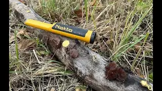 AccuPOINTER - найкращий пінпоінтер, яким Я користувався. Це новий рівень, для ручних металошукачів.