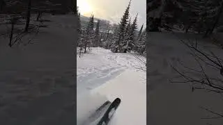 Фрирайд маршрут. Шерегеш. Панорама в Томском лесу.