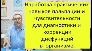 2 группа 1 уровень (пальпаторные навыки), 10-11 ноября 2022г