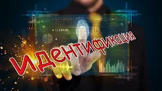 Идентификация
