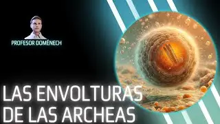 Los secretos de las ENVOLTURAS de las ARQUEOBACTERIAS