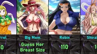 Comparison : One Piece Characters Breast Size