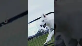 Луна:Ночная ролка