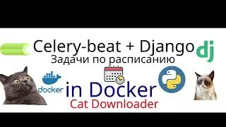 Celerybeat + Django + Docker = Cat Downloader с задачами по расписанию.