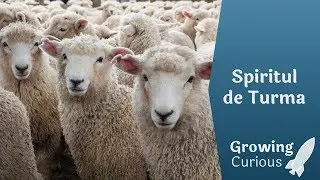 Spiritul de Turma