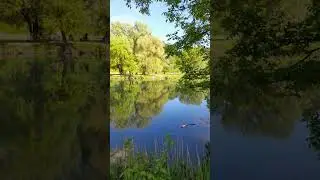 Ніч Яка Місячна Зоряна Ясная Видно Хоть Голки Збирай..!@Shorts