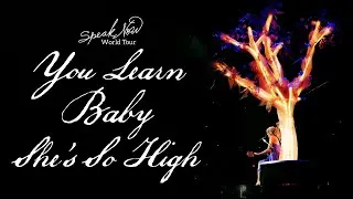 Taylor Swift - You Learn/Baby/She's So High (Live on the Speak Now World Tour)