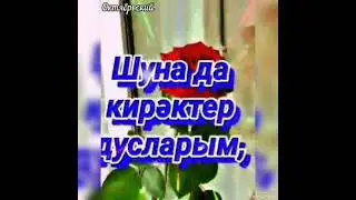 Җырлар бүләк итәм