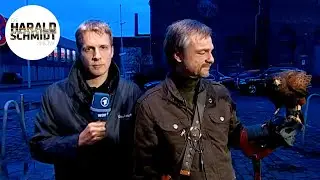 Oliver Pocher: Taubenabwehr mit Bussarden | Die Harald Schmidt Show (ARD)