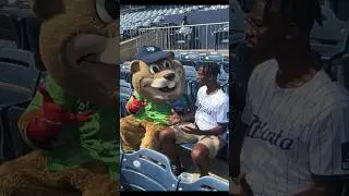 Chopper! Stripers! BBB! Baseball!