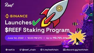 REEF Staking Special: Enjoy Up to 119.79% APY and Share 10,400,000 REEF in Rewards! 🚀🚀