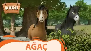 Ağaç | Doru | 32.Bölüm